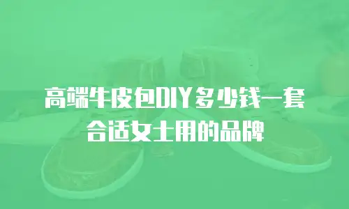 高端牛皮包DIY多少钱一套合适女士用的品牌