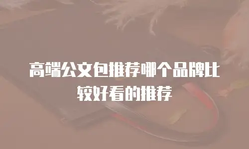 高端公文包推荐哪个品牌比较好看的推荐