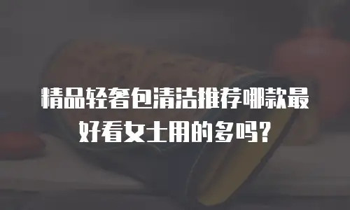精品轻奢包清洁推荐哪款最好看女士用的多吗？