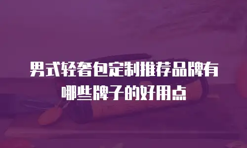 男式轻奢包定制推荐品牌有哪些牌子的好用点
