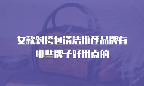 女款斜挎包清洁推荐品牌有哪些牌子好用点的
