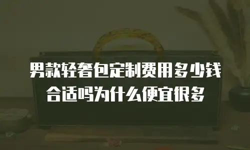 男款轻奢包定制费用多少钱合适吗为什么便宜很多