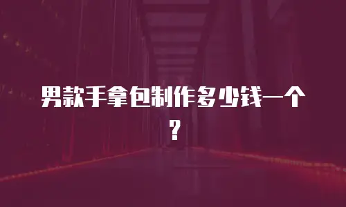 男款手拿包制作多少钱一个？