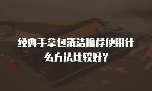 经典手拿包清洁推荐使用什么方法比较好？