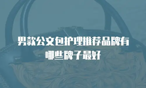 男款公文包护理推荐品牌有哪些牌子最好