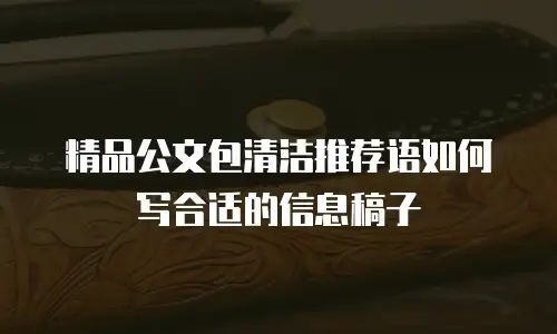 精品公文包清洁推荐语如何写合适的信息稿子