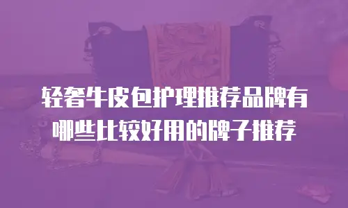 轻奢牛皮包护理推荐品牌有哪些比较好用的牌子推荐