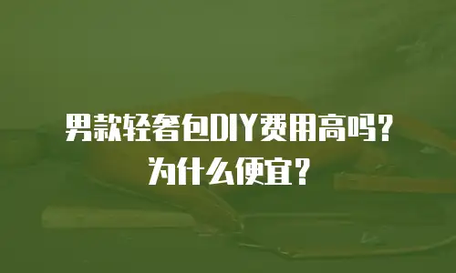 男款轻奢包DIY费用高吗？为什么便宜？