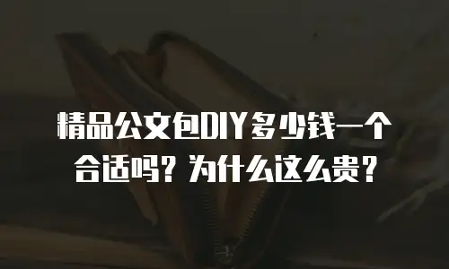 精品公文包DIY多少钱一个合适吗？为什么这么贵？
