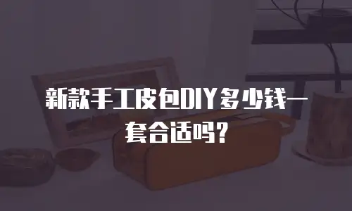 新款手工皮包DIY多少钱一套合适吗？