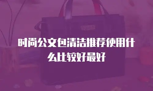 时尚公文包清洁推荐使用什么比较好最好