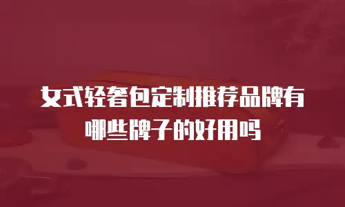 女式轻奢包定制推荐品牌有哪些牌子的好用吗