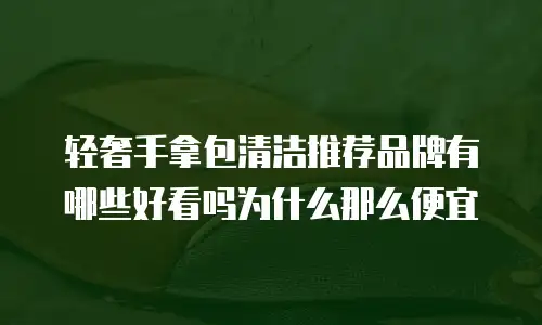 轻奢手拿包清洁推荐品牌有哪些好看吗为什么那么便宜