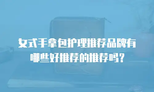 女式手拿包护理推荐品牌有哪些好推荐的推荐吗？