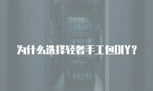 为什么选择轻奢手工包DIY？