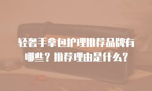轻奢手拿包护理推荐品牌有哪些？推荐理由是什么？