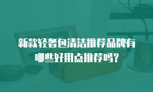新款轻奢包清洁推荐品牌有哪些好用点推荐吗？