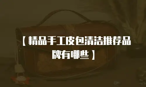 【精品手工皮包清洁推荐品牌有哪些】