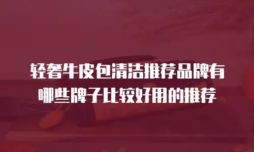 轻奢牛皮包清洁推荐品牌有哪些牌子比较好用的推荐