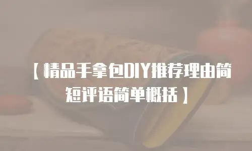 【精品手拿包DIY推荐理由简短评语简单概括】