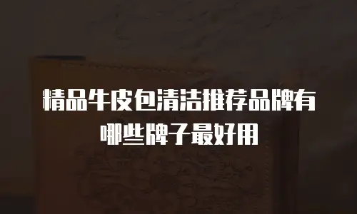 精品牛皮包清洁推荐品牌有哪些牌子最好用