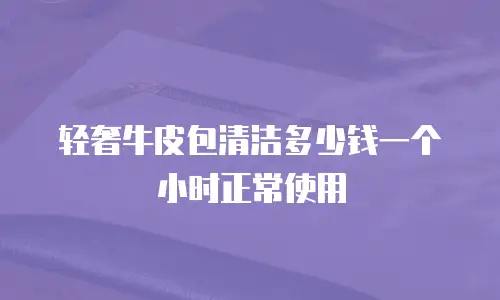 轻奢牛皮包清洁多少钱一个小时正常使用