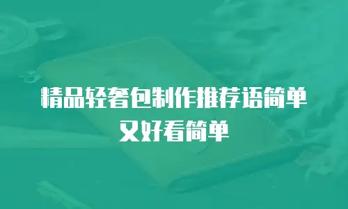 精品轻奢包制作推荐语简单又好看简单