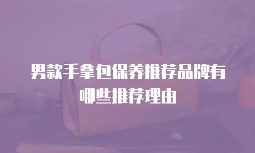男款手拿包保养推荐品牌有哪些推荐理由