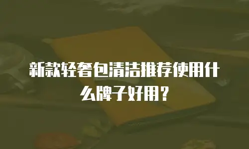 新款轻奢包清洁推荐使用什么牌子好用？