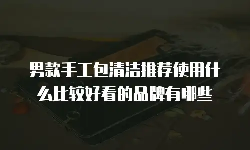 男款手工包清洁推荐使用什么比较好看的品牌有哪些