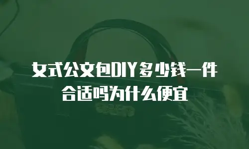 女式公文包DIY多少钱一件合适吗为什么便宜
