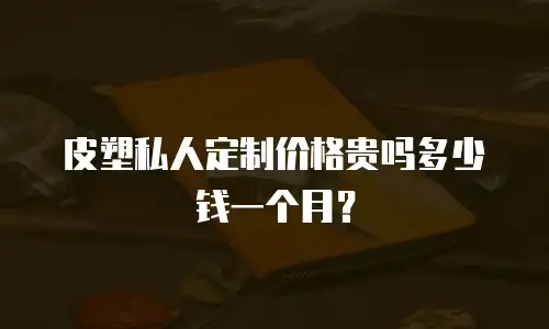 皮塑私人定制价格贵吗多少钱一个月？