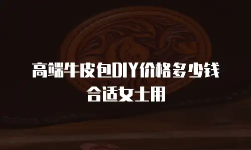 高端牛皮包DIY价格多少钱合适女士用