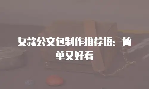 女款公文包制作推荐语：简单又好看