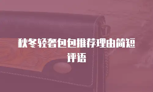 秋冬轻奢包包推荐理由简短评语