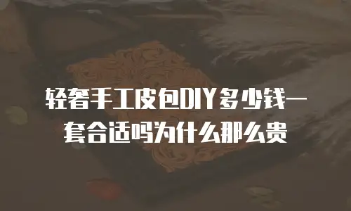 轻奢手工皮包DIY多少钱一套合适吗为什么那么贵