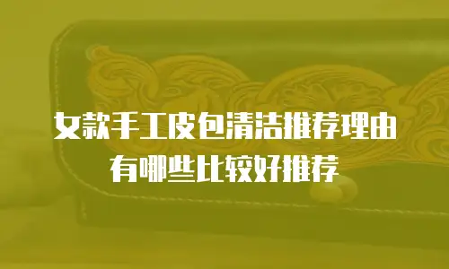 女款手工皮包清洁推荐理由有哪些比较好推荐