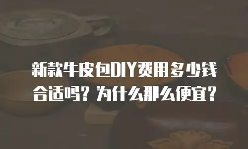 新款牛皮包DIY费用多少钱合适吗？为什么那么便宜？