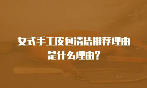 女式手工皮包清洁推荐理由是什么理由？