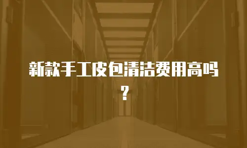 新款手工皮包清洁费用高吗？