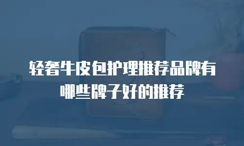 轻奢牛皮包护理推荐品牌有哪些牌子好的推荐