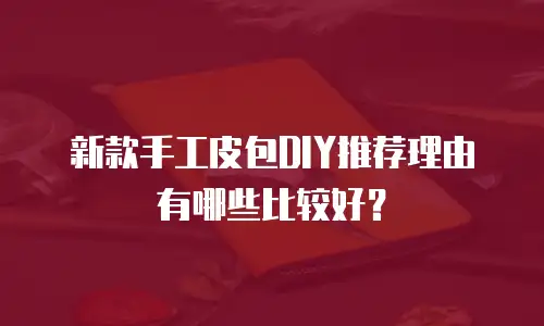新款手工皮包DIY推荐理由有哪些比较好？