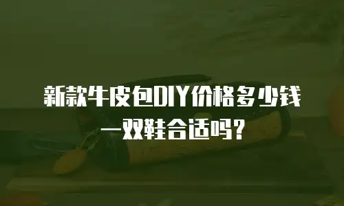 新款牛皮包DIY价格多少钱一双鞋合适吗？
