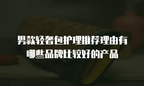 男款轻奢包护理推荐理由有哪些品牌比较好的产品