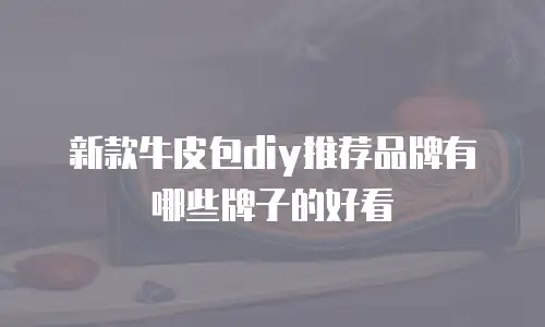 新款牛皮包diy推荐品牌有哪些牌子的好看