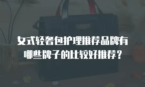 女式轻奢包护理推荐品牌有哪些牌子的比较好推荐？