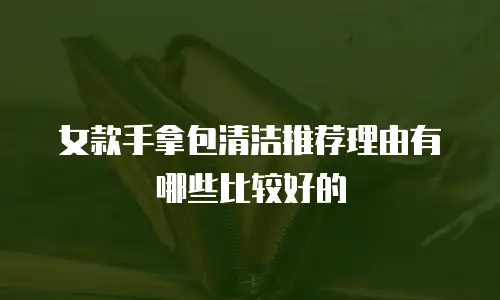 女款手拿包清洁推荐理由有哪些比较好的