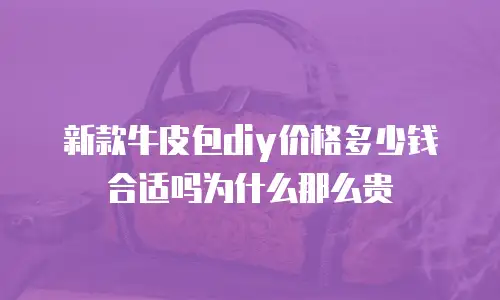 新款牛皮包diy价格多少钱合适吗为什么那么贵