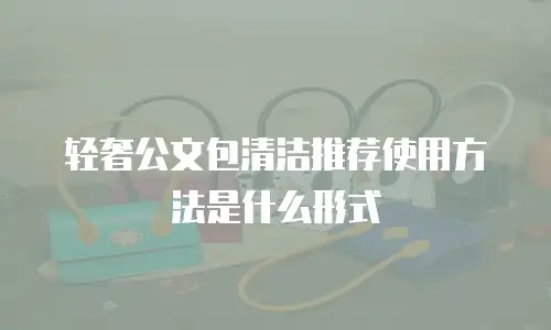 轻奢公文包清洁推荐使用方法是什么形式