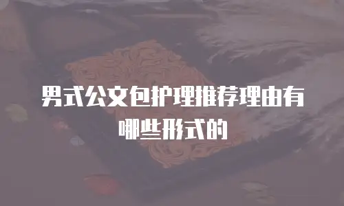 男式公文包护理推荐理由有哪些形式的